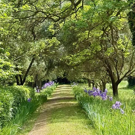 Maison d'hôtes La De La Bastide 5*