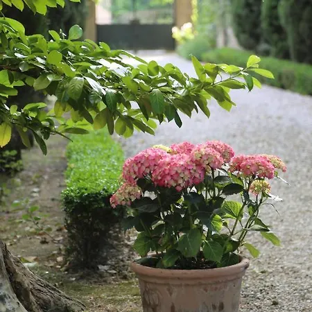 בית הארחה La De La Bastide 5*